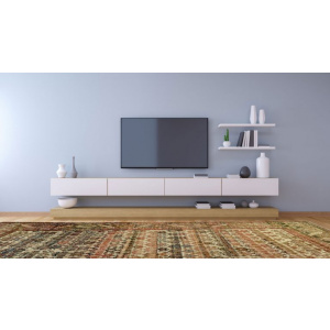 Antique Bakhshaysh Carpet