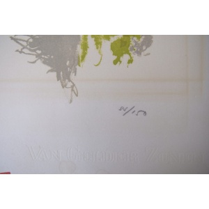 Color Lithograph on Van Gelder Zonen Paper by Jörgen Fogelqvist, 1980s