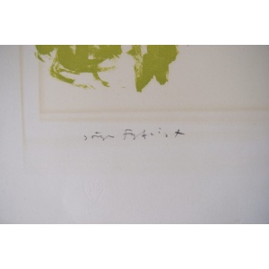 Color Lithograph on Van Gelder Zonen Paper by Jörgen Fogelqvist, 1980s