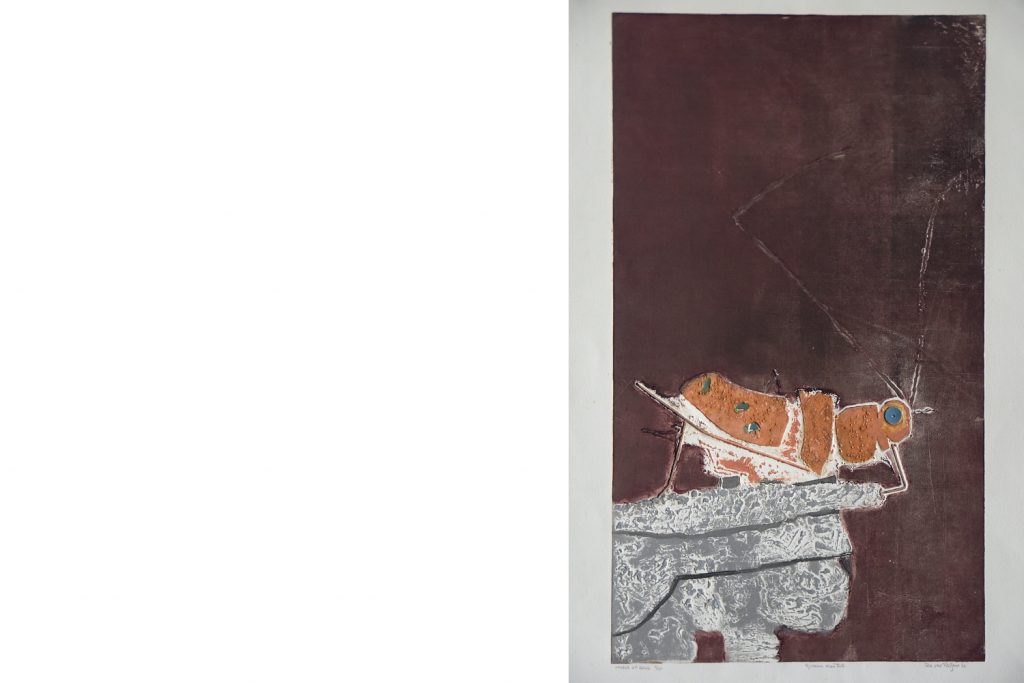 Ru Van Rossem, Insect On Rock, Color Lithograph, 1962