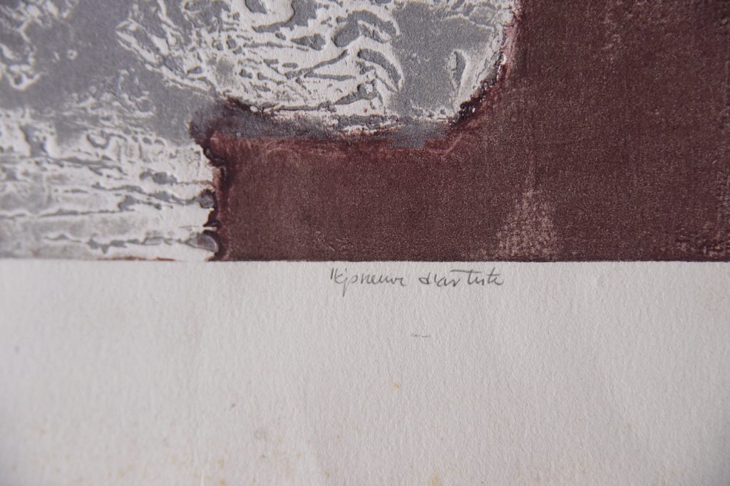 Ru Van Rossem, Insect On Rock, Color Lithograph, 1962