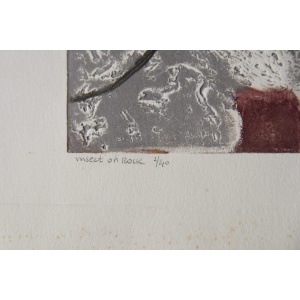 Ru Van Rossem, Insect On Rock, Color Lithograph, 1962