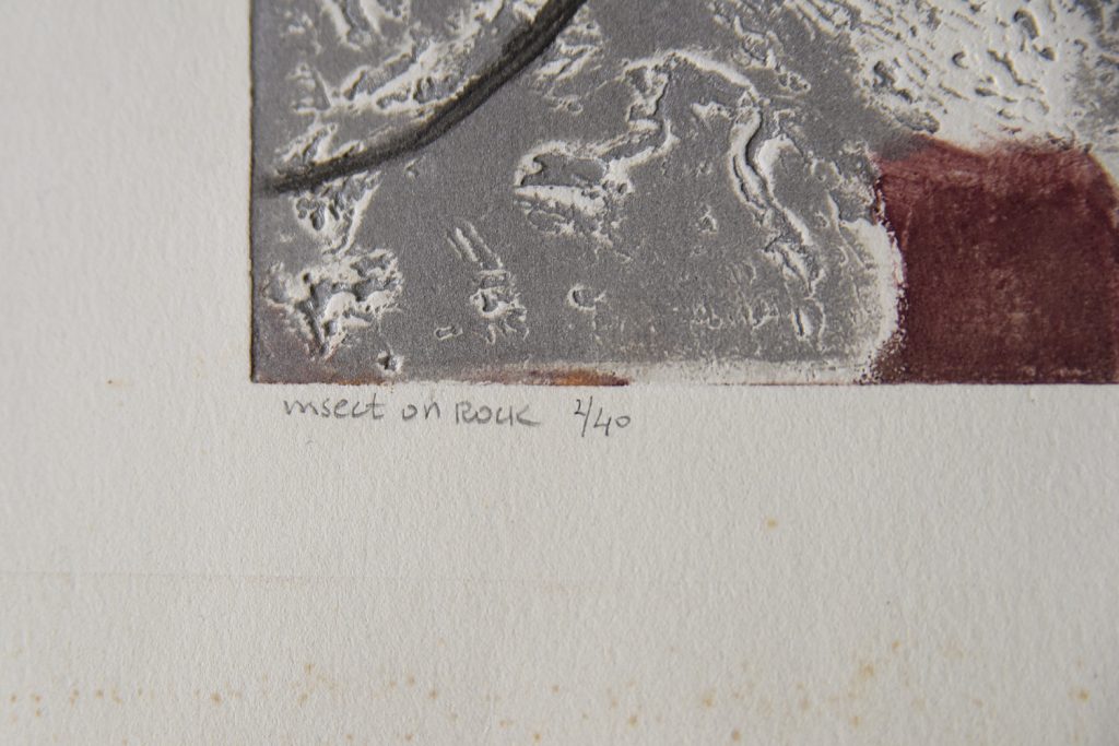 Ru Van Rossem, Insect On Rock, Color Lithograph, 1962