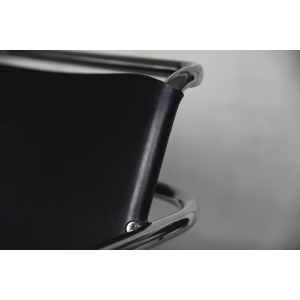 German Leather Armchair by Franco Albini for Tecta, 1950s