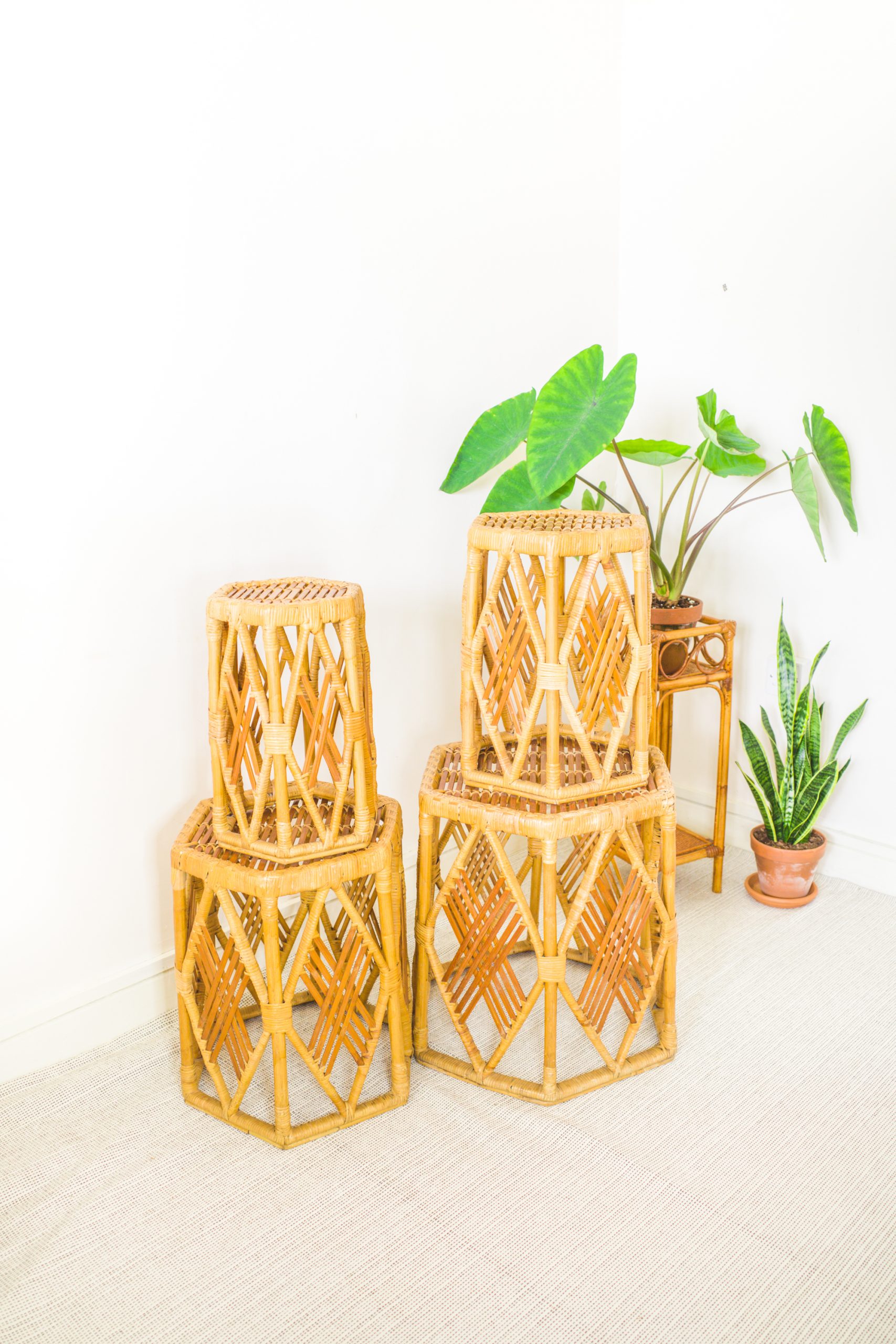 Nest of 4 Rattan Hexagonal Side Tables / Plant Stands
