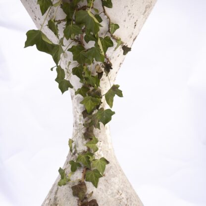 Extra Large Diablo Hourglass Garden Planters By Willy Guhl, 1950s, Set Of 2 - Image 8