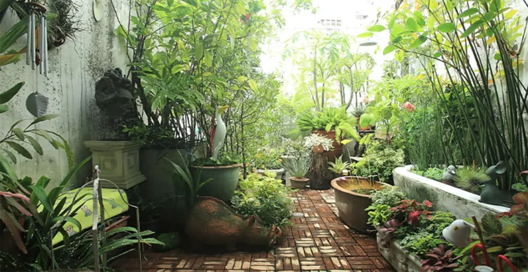 Vintage Garden