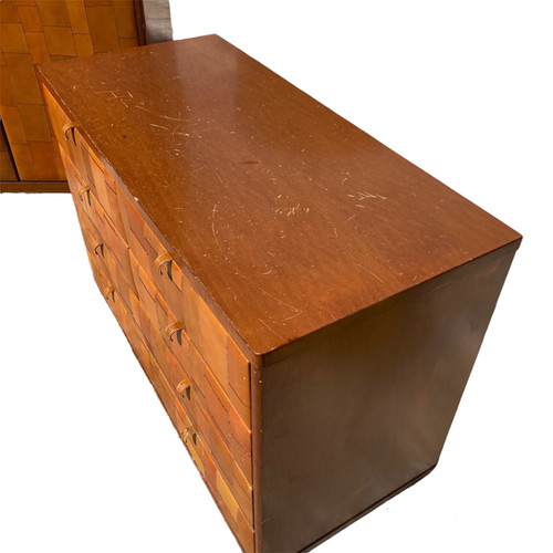 Chest Of Drawers in Pecary leather by Tito Agnoli for Caleido Poltrona Frau