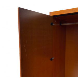 Pecari leather Wardrobe by Tito Agnoli for Caleido Poltrona Frau