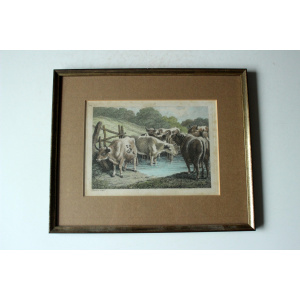2 old professionally framed lithographs, vintage from the 50s