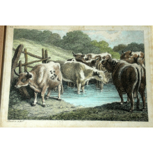 2 old professionally framed lithographs, vintage from the 50s