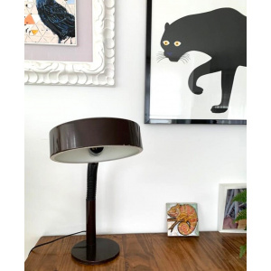 Large Industrial brown metal office desk lamp Mid Century by Hala Zeist
