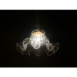Small Scandinavian farmhouse style crystal flower glass hanging lamp