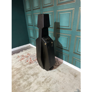 19th Century Cello case / Blue tooth Stereo System