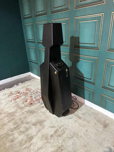 19th Century Cello case / Blue tooth Stereo System