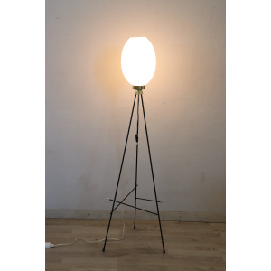 Opaline Glass and Brass Floor Lamp, 1950s