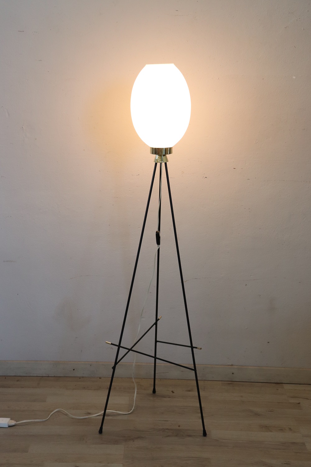 Opaline Glass and Brass Floor Lamp, 1950s