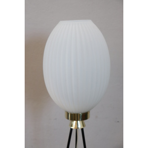 Opaline Glass and Brass Floor Lamp, 1950s