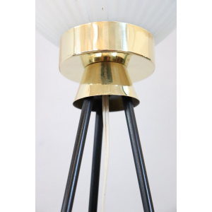 Opaline Glass and Brass Floor Lamp, 1950s
