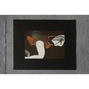 Åke Arenhill, Tio visor i bild om den förlorade sinnligheten, Collection of 10 lithographs