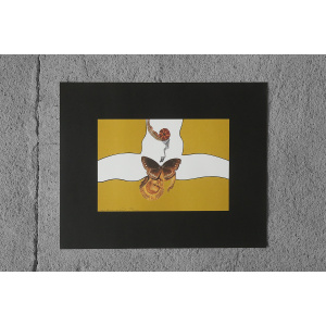 Åke Arenhill, Tio visor i bild om den förlorade sinnligheten, Collection of 10 lithographs