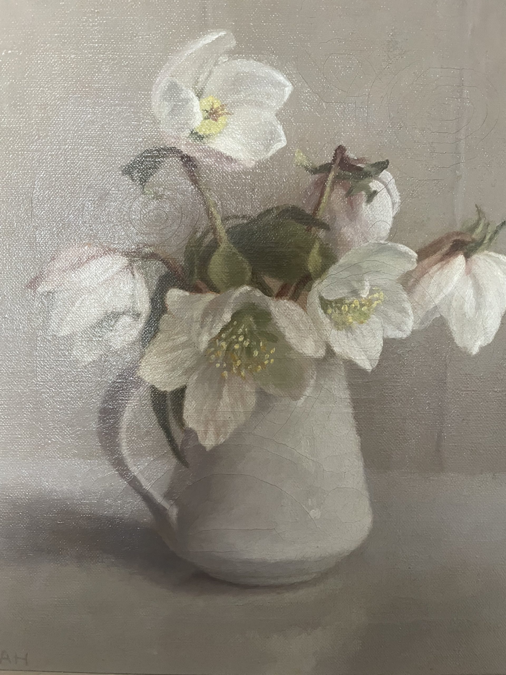 Anna Hornby still like painting of chrismas roses