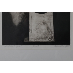 Bertil Lundberg, Bukett, Etching, 1980, Framed