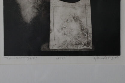 Bertil Lundberg, Bukett, Etching, 1980, Framed - Image 5