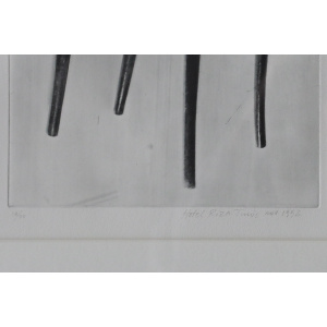 Pär Broman, Hotel Ritz Tunis, Photo etching, 2001