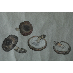 Japanese painting, Svampar, Mixed technique on Artistic Fabric, Denmark