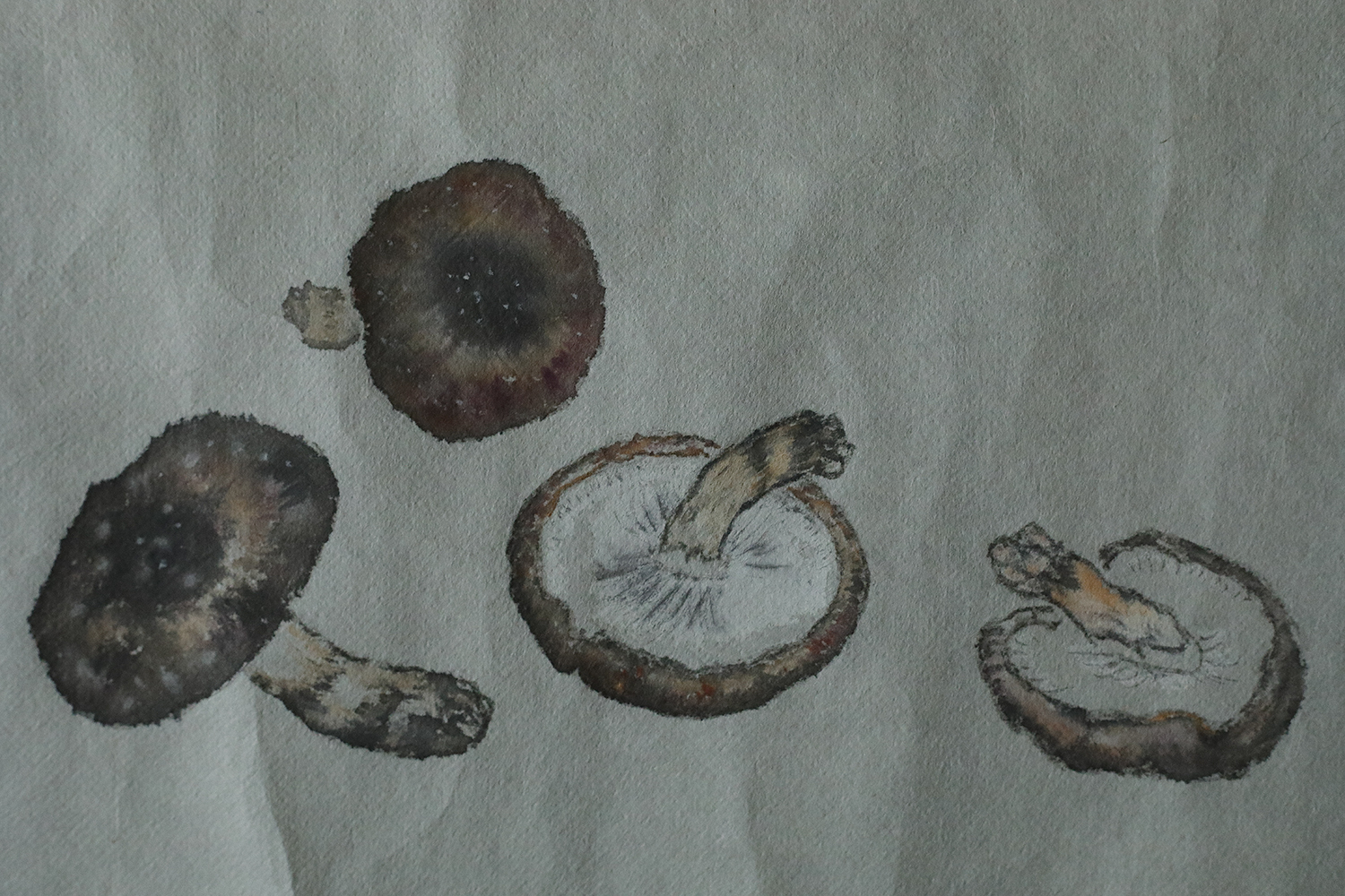 Japanese painting, Svampar, Mixed technique on Artistic Fabric, Denmark