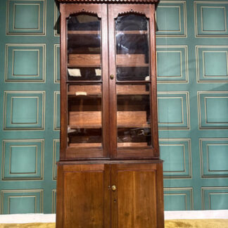 Gothic Revival Pitch Pine Bookcase With Base Cupboard