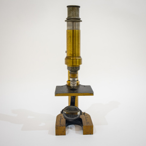 C. Reichert Model IV Microscope