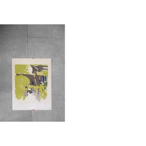 Color Lithograph on Van Gelder Zonen Paper by Jörgen Fogelqvist, 1980s