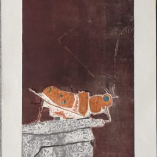 Ru Van Rossem, Insect On Rock, Color Lithograph, 1962