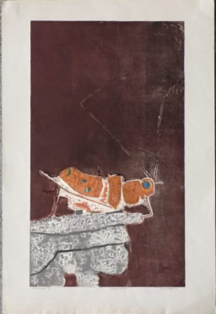 Ru Van Rossem, Insect On Rock, Color Lithograph, 1962