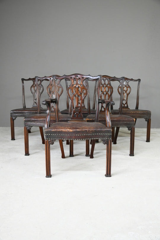 Set 6 Chippendale Revival Dining Chairs