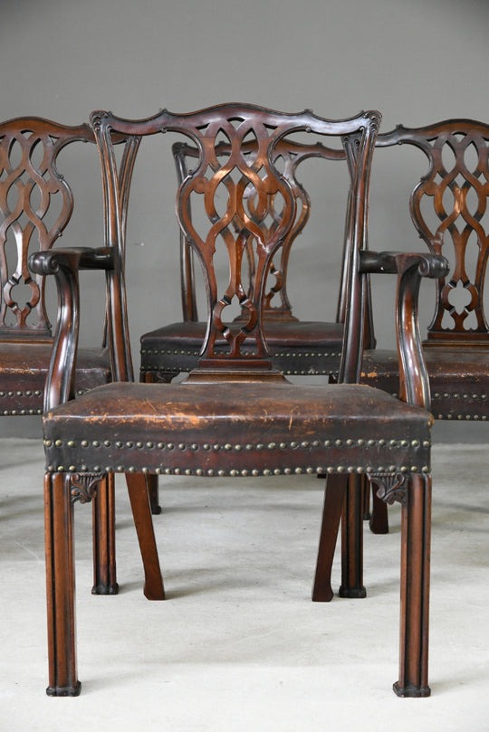 Set 6 Chippendale Revival Dining Chairs