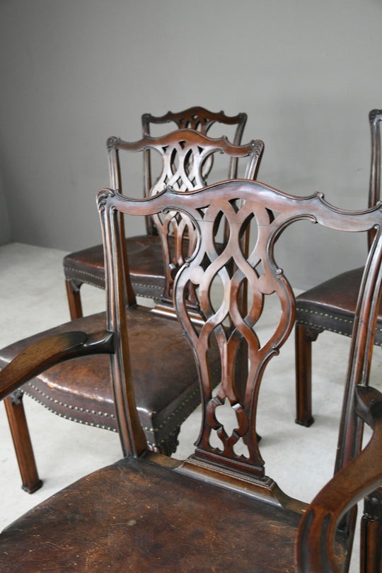 Set 6 Chippendale Revival Dining Chairs