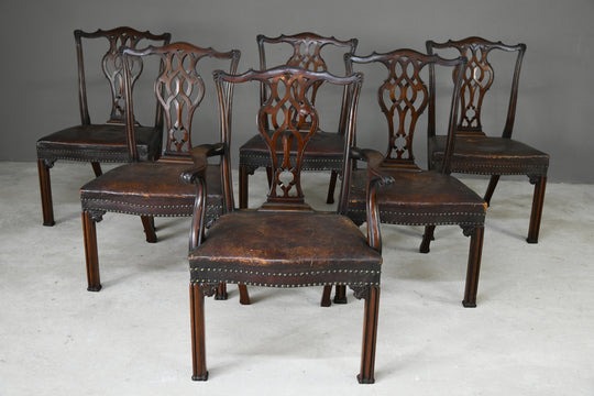 Set 6 Chippendale Revival Dining Chairs