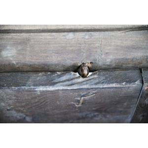 Charles I Oak Chest