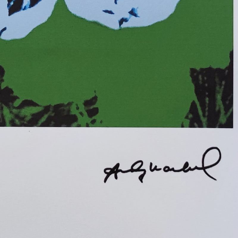 1980s Gorgeous Andy Warhol "Flowers" Limited Edition Lithograph