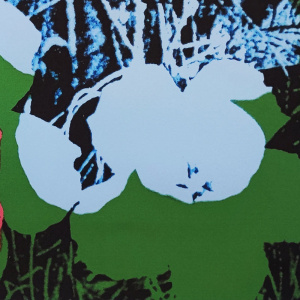1980s Gorgeous Andy Warhol "Flowers" Limited Edition Lithograph