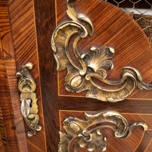 French Louis XV Style Mesh Door Bookcase