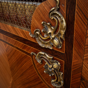 French Louis XV Style Mesh Door Bookcase