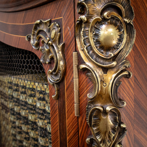 French Louis XV Style Mesh Door Bookcase