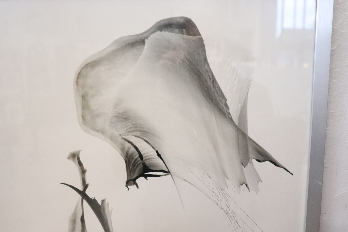 Stefano Colombo, Abstract Compositions, 1970s