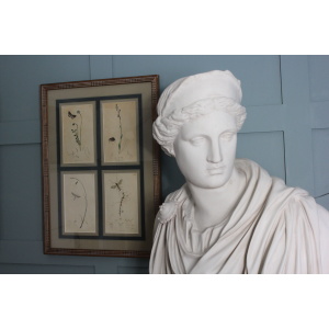 Marble Bust of a Roman Empress