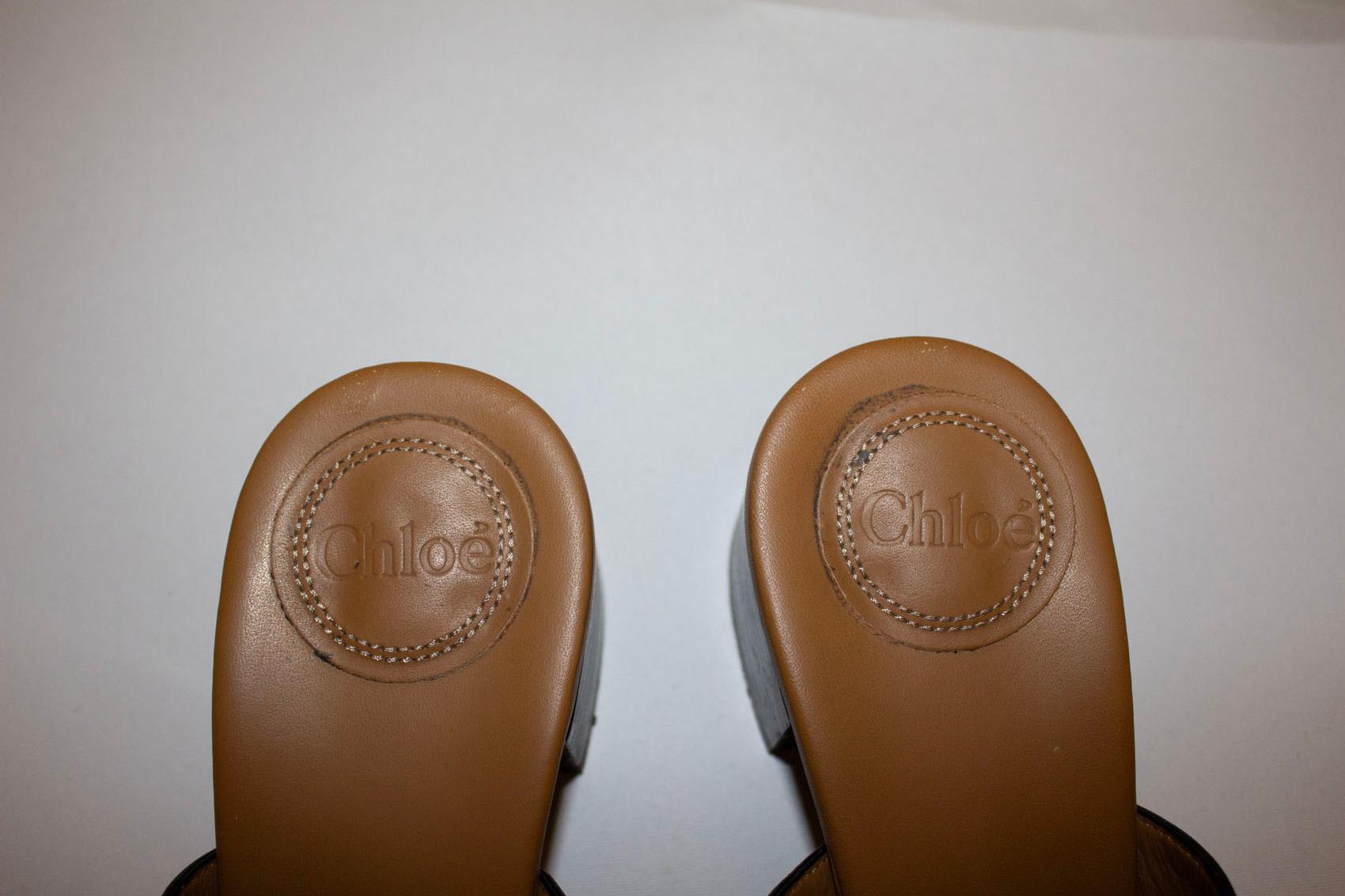 Chloe Leather and Suede Mules
