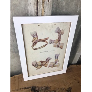 Medical And Military Vintage Original Poster On Card